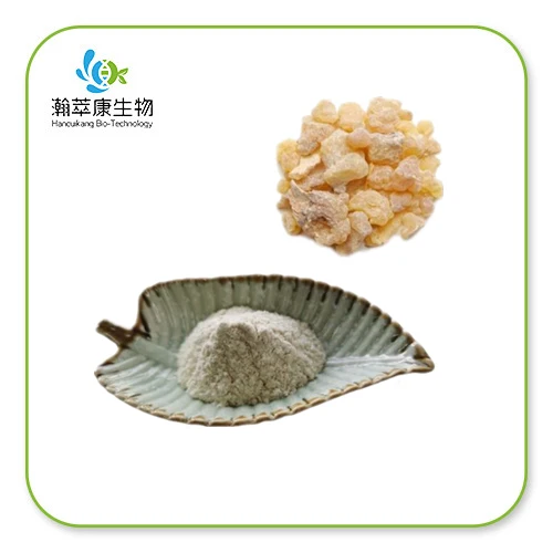 Mastic Gum Powder  NutriCargo Wholesale Ingredients