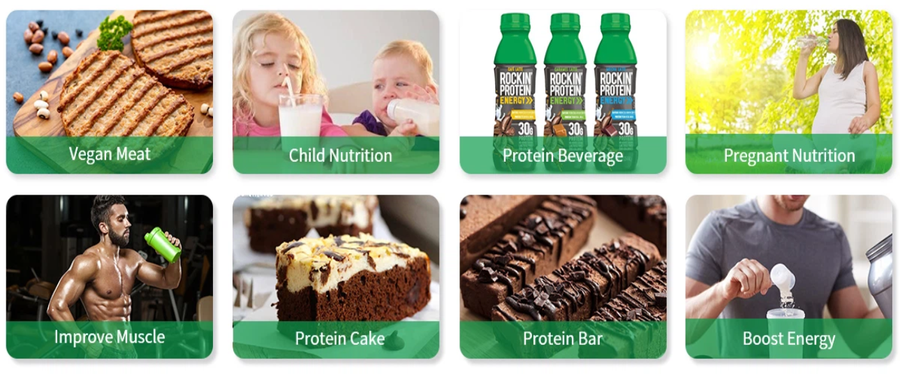Pure Pea Protein Powder Pure Pea Protein Powder