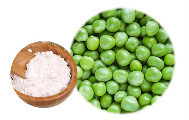 Puistehernetärklis