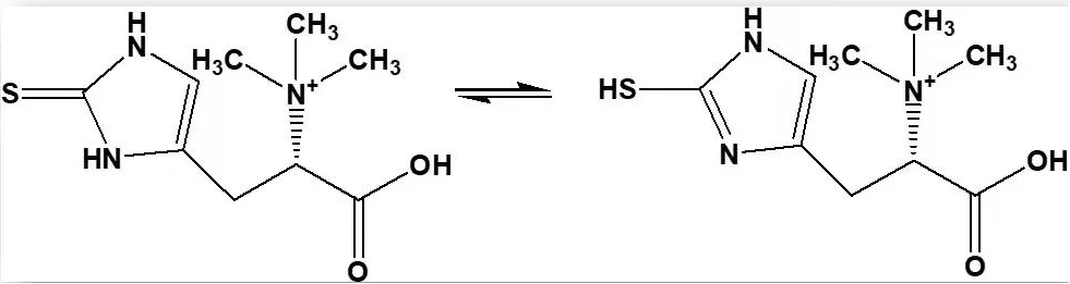 Ergothioneine Powder Ergothioneine Powder