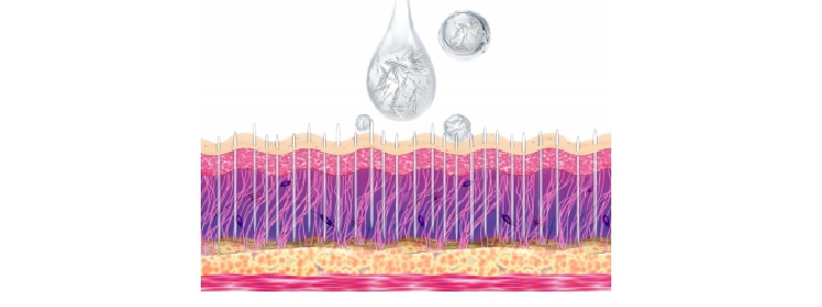 Hydrolyzed Sponge