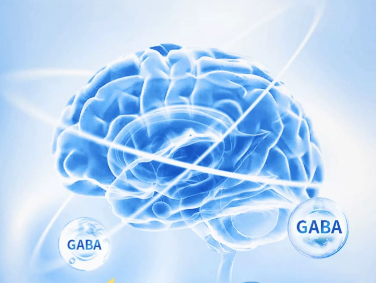 Bulk Gamma Aminobutyric Acid Powder