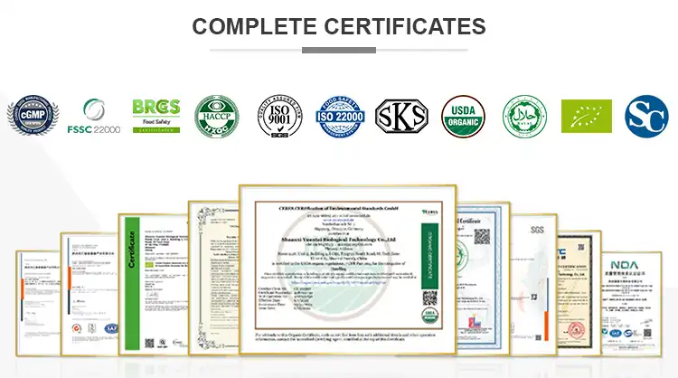 Bulk Kale Powder.jpg