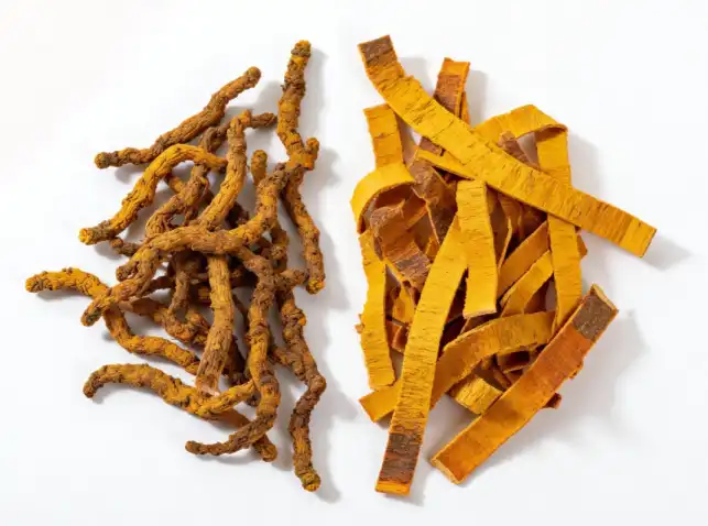 Berberine Hydrochloride Powder.png