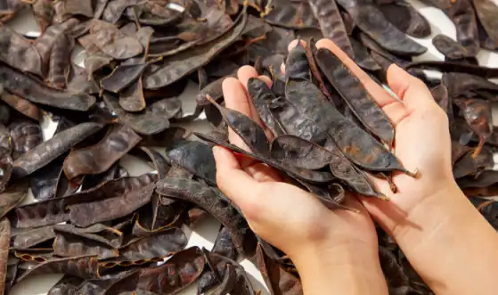 Pure Locust Bean Gum.png