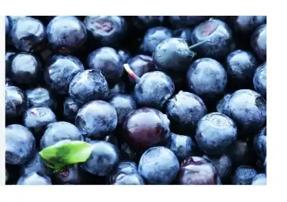 Bilberry Extract Powder