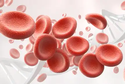 Bilberry Extract Powder