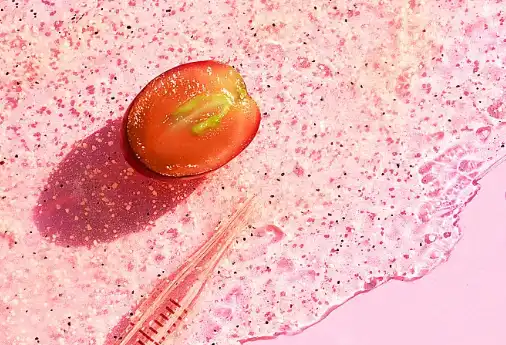 Bulk Grape Extract Powder