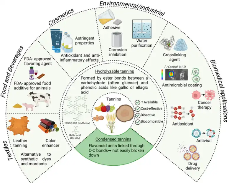 source:https://doi.org/10.1016/j.progpolymsci.2024.101908