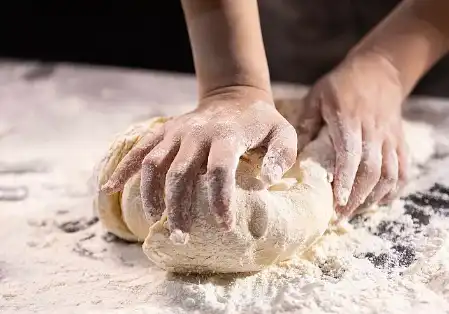Pure Wheat Gluten Pure Wheat Gluten