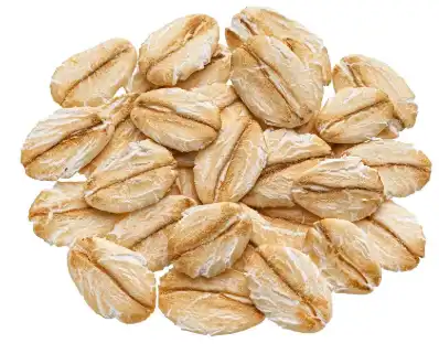 Garlic Extract Powder Garlic Extract Powder