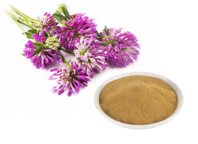 red clover extract.png