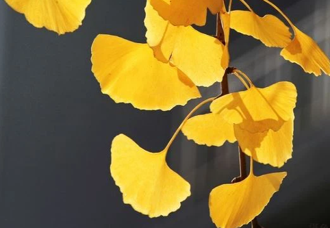 blog-1-1