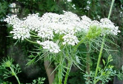 blog-1-1