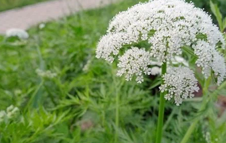 blog-1-1