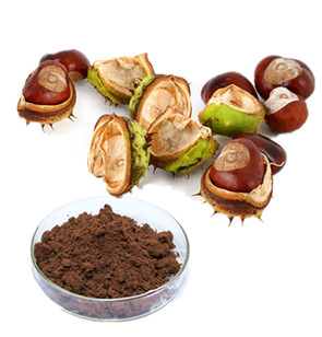 Horse Chestnut Extract powder.jpg