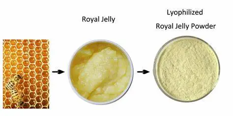 Royal Jelly Powder Bulk