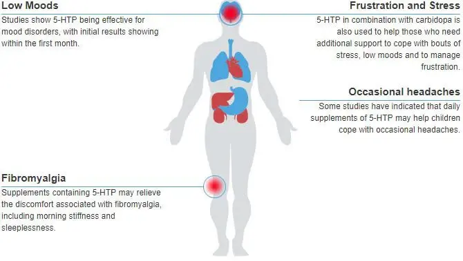 5-htp-benefits-diagram